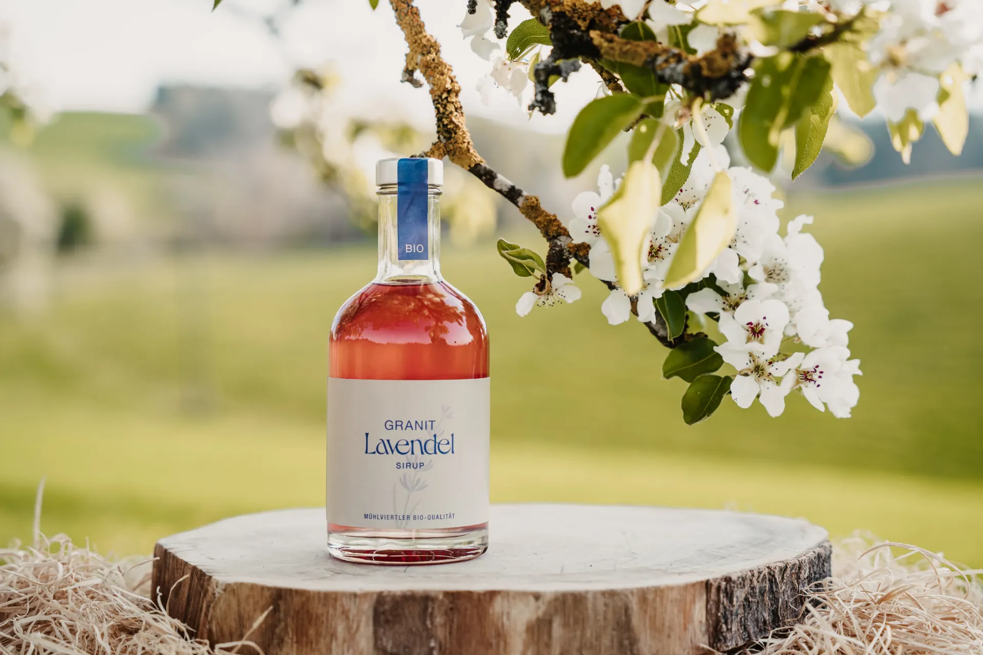 Lavendel Sirup