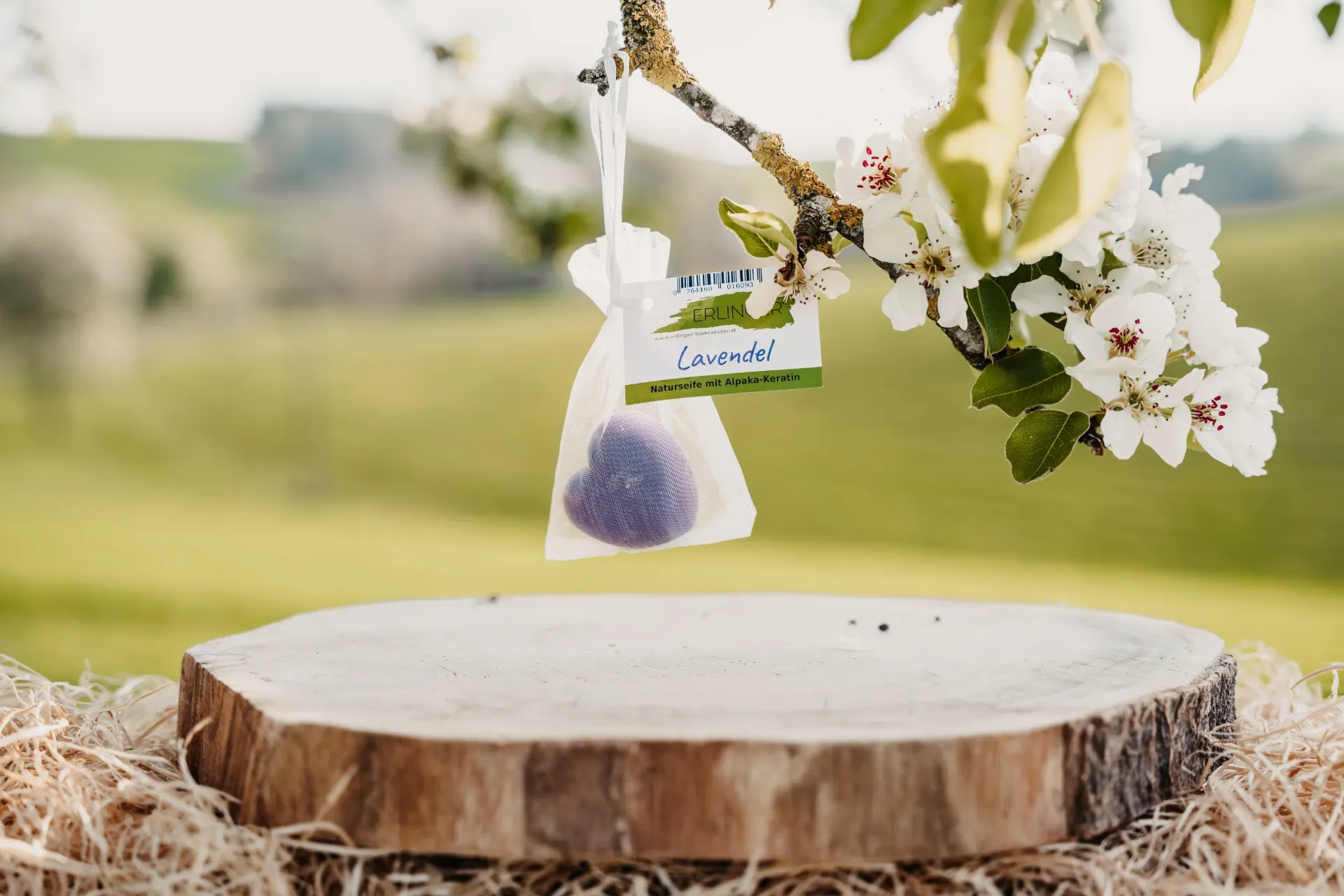 Mini Seife Herzen Lavendel
