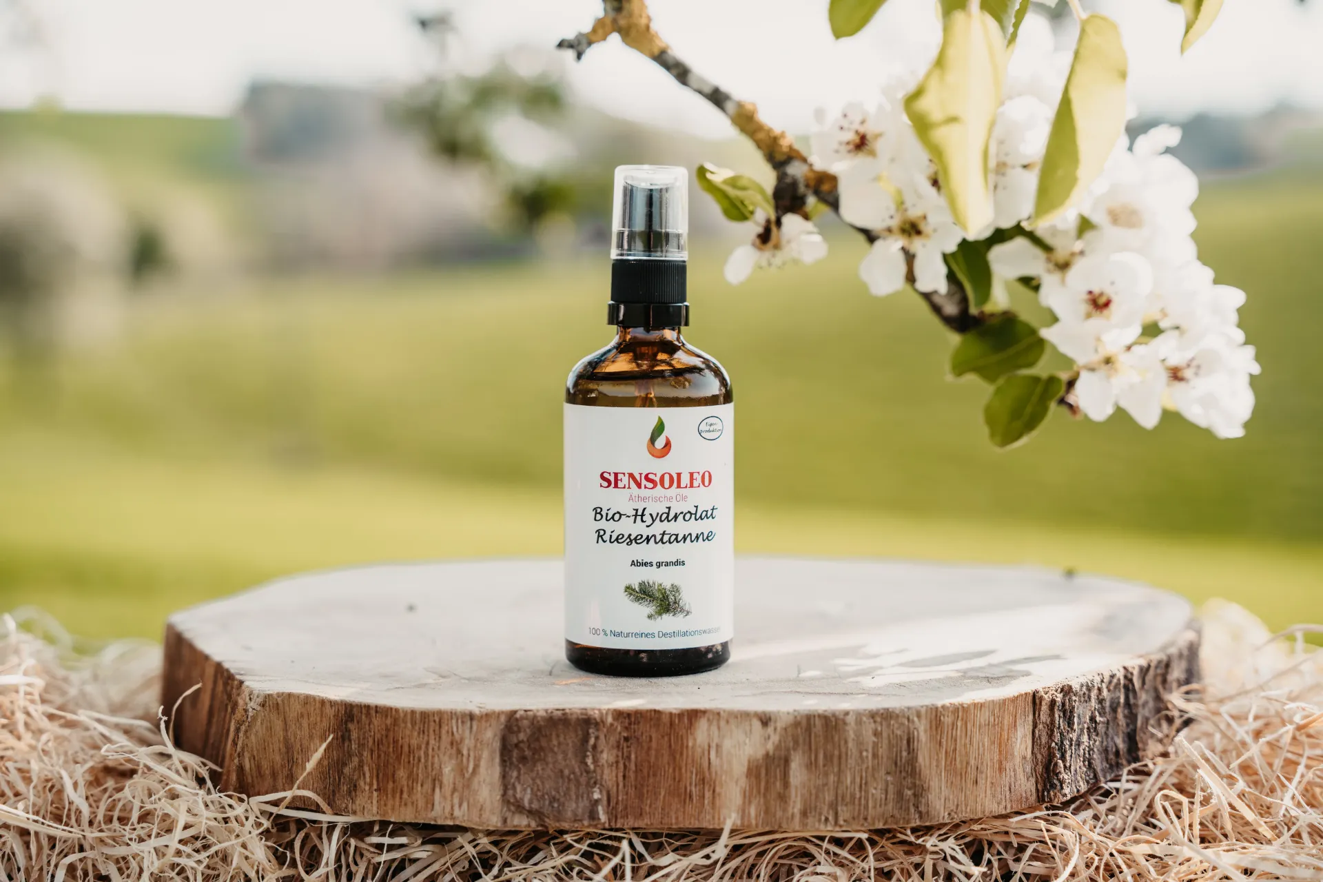 Riesentanne Bio Hydrolat