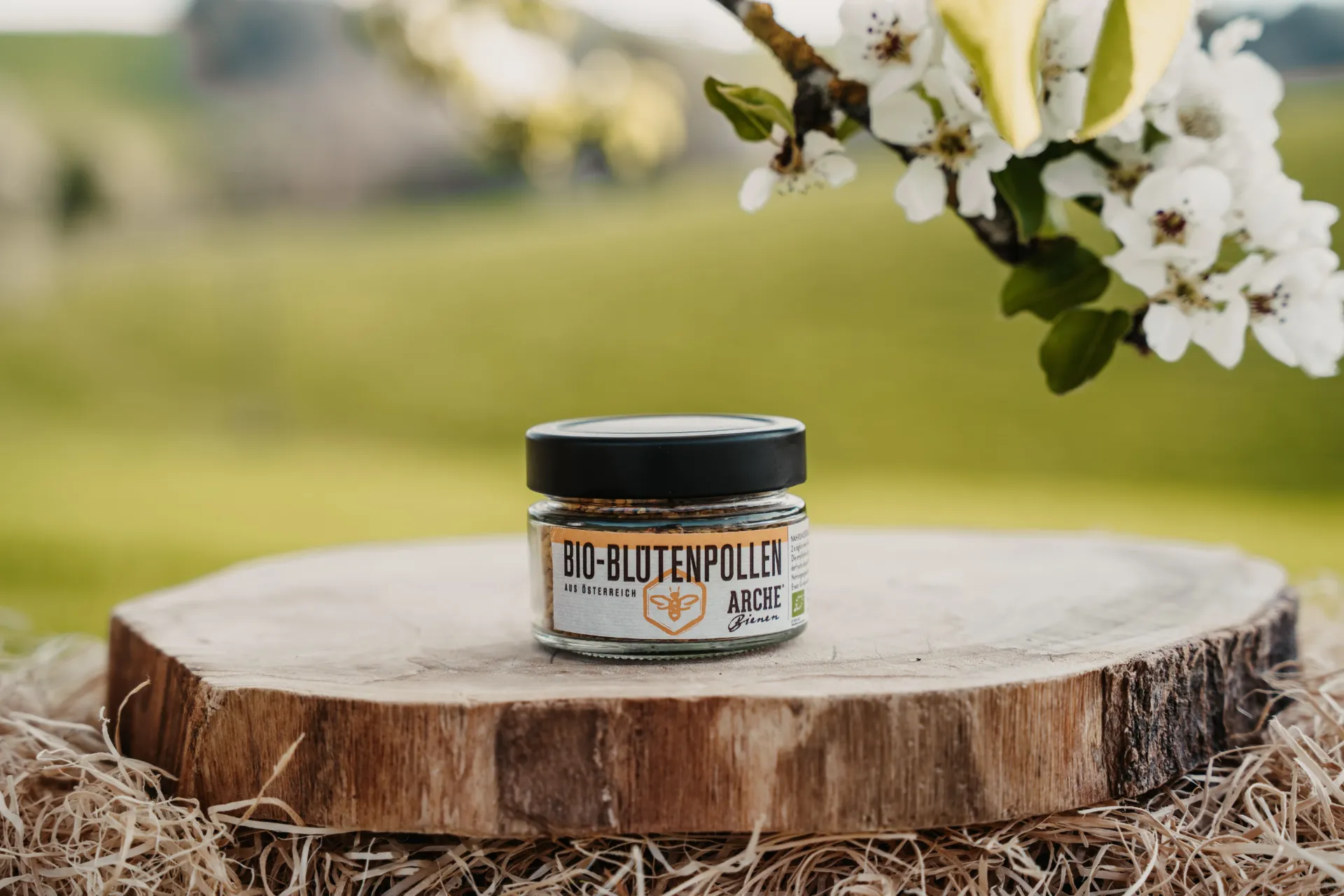 Blütenpollen