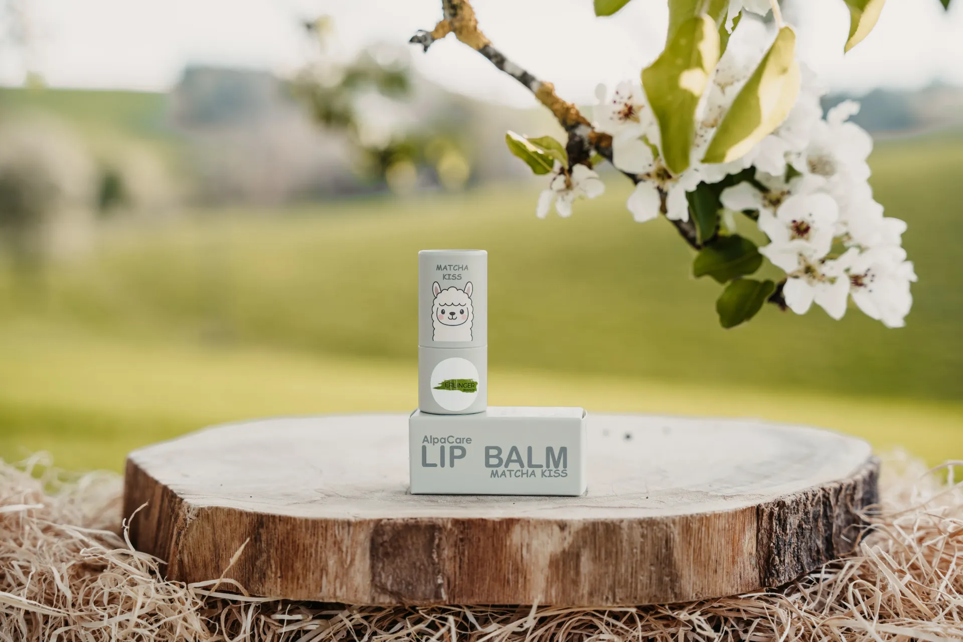 Lippenbalsam Matcha Kiss